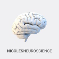 NicolesNeuroscience LTD logo - Similar company to Textmarks