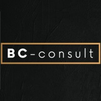 BC-consult logo - Similar company to Visual Impact