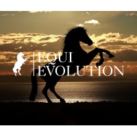 Equi Evolution