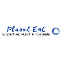 Plural Expertise, Audit & Conseils logo - Similar company to Progress Partners