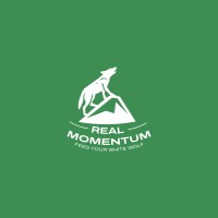 Real Momentum logo - Similar company to Estate Monthly