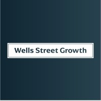Wells Street Growth logo - Similar company to Singleton Group