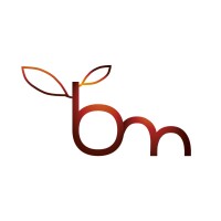 Bumbleberry Marketing logo - Similar company to Oats Studio