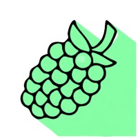 greenberry logo - Similar company to Greenberry