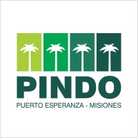 PINDO S.A. logo - Similar company to New Tech Solutions