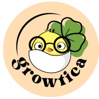Growtica Education logo - Similar company to Ambis Education