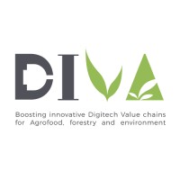 EU Project DIVA logo - Similar company to Hiflex Eu Project