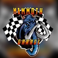 Mammoth Garage logo - Similar company to Yellow Tech Garage