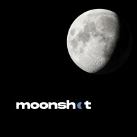 Moonshot Africa logo - Similar company to Blessed Engineering Solutions