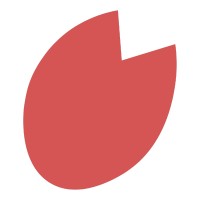 Perpova Developers logo - Similar company to Nolooptech