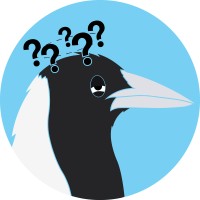 Misinformed Magpie logo - Similar company to Adam Ahmed & Co