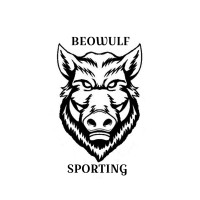 Beowulf Sporting Limited logo - Similar company to Humanities And Social Sciences Teesside University