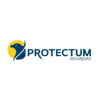 PROTECTUM logo - Similar company to Protectum Ab