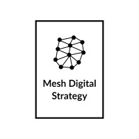 Mesh Digital Strategy | SMB Growth Strategy, B2B Marketing, Digital Transformation logo - Similar company to Ipreg Inc. / 好孕行生醫