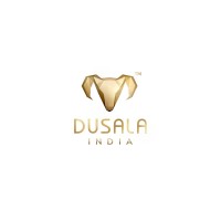 DUSALA INDIA logo - Similar company to Shapecrunch