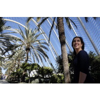 Tours In Valencia