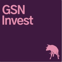 GSN Invest logo - Similar company to Doer Studio.