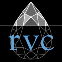 Rareview Capital LLC logo - Similar company to Skyriver Advisors