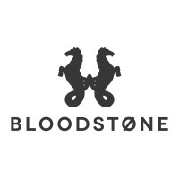 Bloodstone Capital logo - Similar company to Rubicon Digital Assets