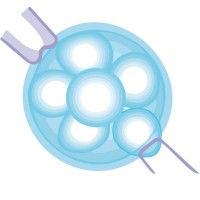 Delaware Institute for Reproductive Medicine logo - Similar company to Radfertility
