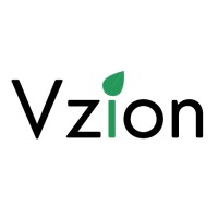 Vzion logo - Similar company to Interside Daynet
