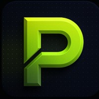 Pronexus logo - Similar company to Leosis