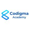 Codigma Academy logo - Similar company to Conceptsoft Ltd