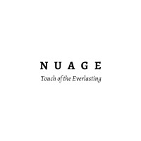 N U A G E logo - Similar company to Comvee Adaptive