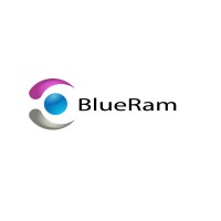 Blueram Information Technologies Limited Company logo - Similar company to Blueram Technology