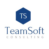 TEAMSOFT logo - Similar company to Teamsoft Inc.