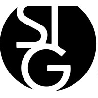 STG InfoTech logo - Similar company to Systems Technology Group, Inc. (Stg)