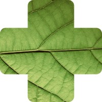Plant disease identifier logo - Similar company to Edvibe