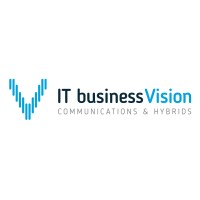 IT BUSINESS VISION logo - Similar company to Jmg Virtual Consulting
