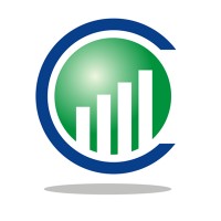 CFE Financial Solutions logo - Similar company to Bps Abogados Y Contadores