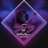 SheTechSpace logo - Similar company to Pinkgrape Consulting