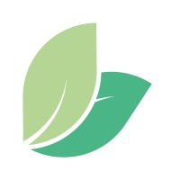 Mint ITV logo - Similar company to Beat.Bcn