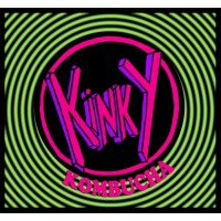 Kinky Kombucha logo - Similar company to Study Break Hard Seltzer