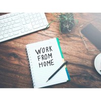 Work From Home Opportunities Project logo - Similar company to Remote Work Opportunities