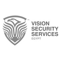 Vision Security Services Egypt logo - Similar company to T.E.A.M.S Security