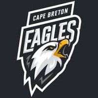 Cape Breton Eagles Major Junior Hockey Club logo - Similar company to Saint John Sea Dogs