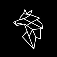 Black Wolf Analytics logo - Similar company to Ki Data Science