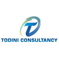TODINI CONSULTANCY (PRIVATE) LIMITED logo - Similar company to Redzone Digital