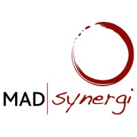 Mad Synergi logo - Similar company to Catour