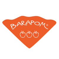 PLS 3A logo - Similar company to Barapom