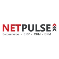 Netpulse NV logo - Similar company to Netpulse