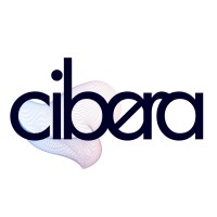 cibera logo - Similar company to Cibera