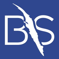 BLUE SCRATCH logo - Similar company to Blue Scratch