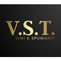 VST Vini e spumanti logo - Similar company to Valentini E Associati