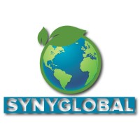 Syny Global logo - Similar company to Luminate Home Loans Hawaii