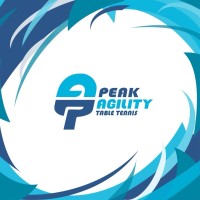 Peak Agility Table Tennis logo - Similar company to Sql View
